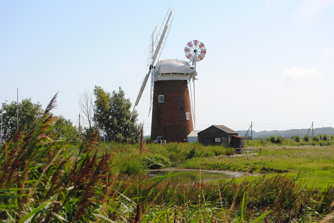 九江市梅峰最新情况，生态旅游胜地，发展前景广阔，九江市梅峰，生态旅游胜地，未来发展潜力无限