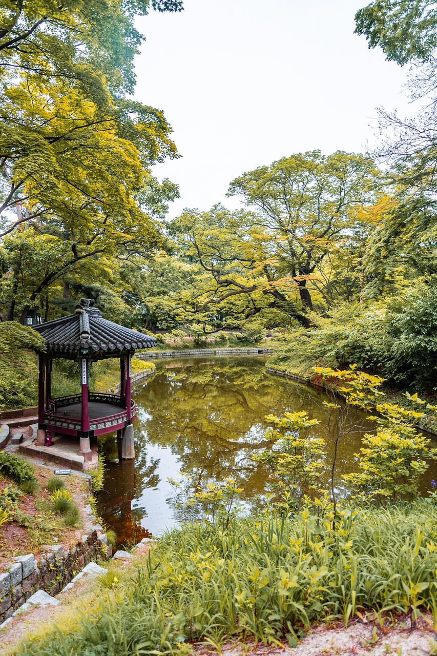 木兰围场最新动态，生态旅游新篇章，历史遗迹焕新生，木兰围场，生态旅游新潮涌动，历史遗迹重焕光彩