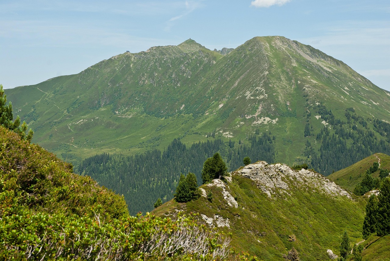 张家界加强景区环境卫生整治，精准推测与积极行动，张家界景区环境卫生整治，精准推测与积极行动同向发力