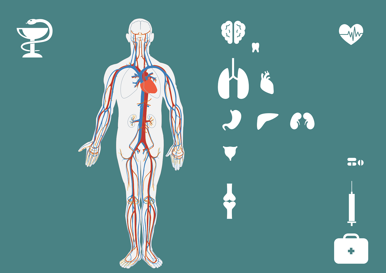 体检指南最新版，最新全面体检指南：守护健康，从体检开始