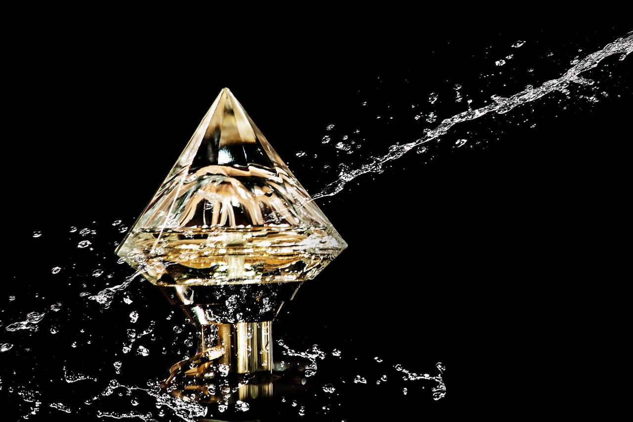 金桥龙虾价格查询网最新，金桥龙虾价格查询网最新动态及查询指南