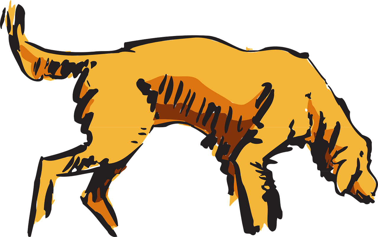 最新版打猎游戏，最新打猎游戏攻略与体验分享：探索逼真狩猎世界的指南