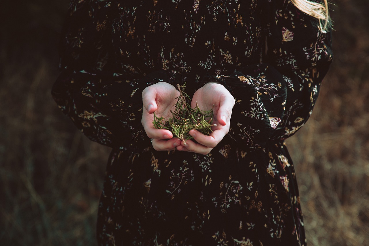 摔角女王最新版，热血竞技与女性力量的完美融合，摔角女王最新版，热血竞技与女性力量的巅峰对决