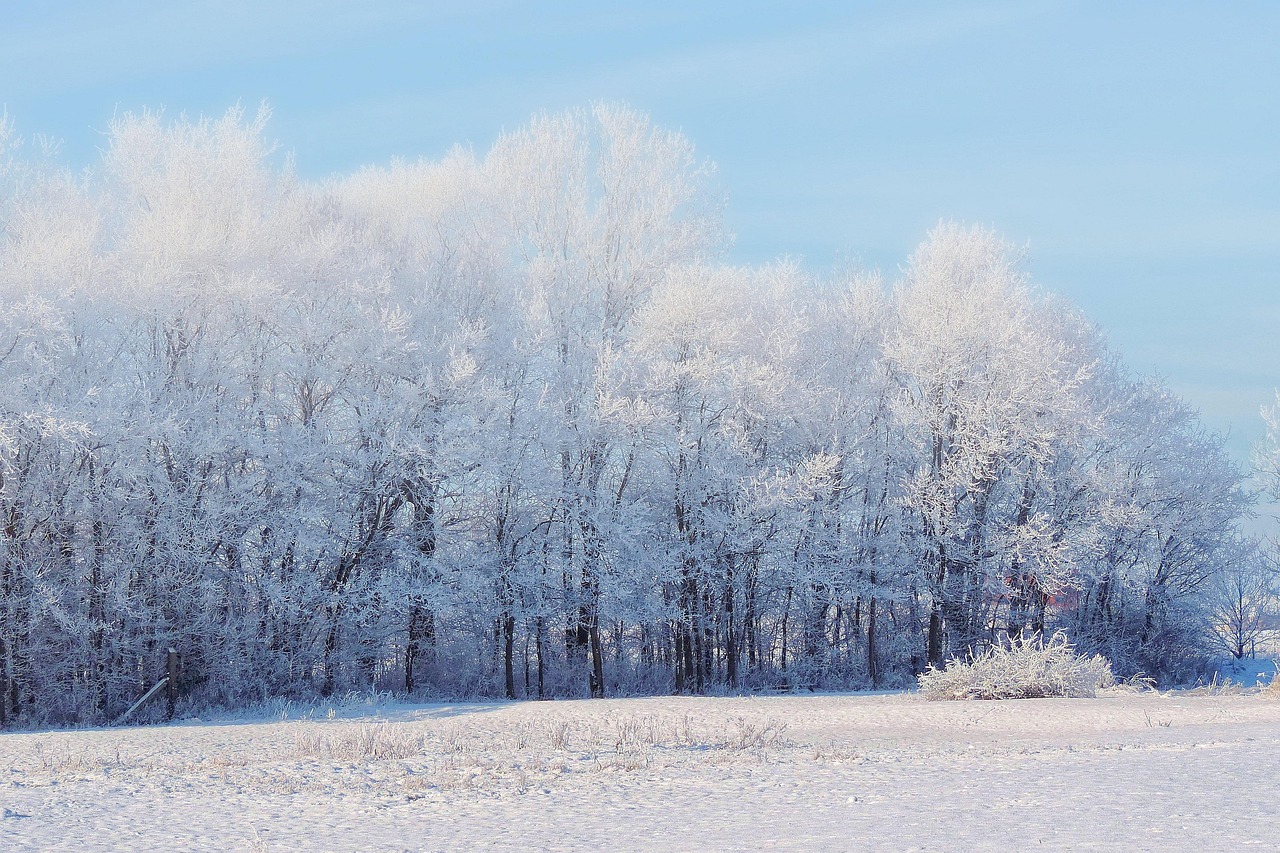 冬日里的诗与远方——探寻最新雪的文案之美，雪境诗篇，冬日雪景文案新韵