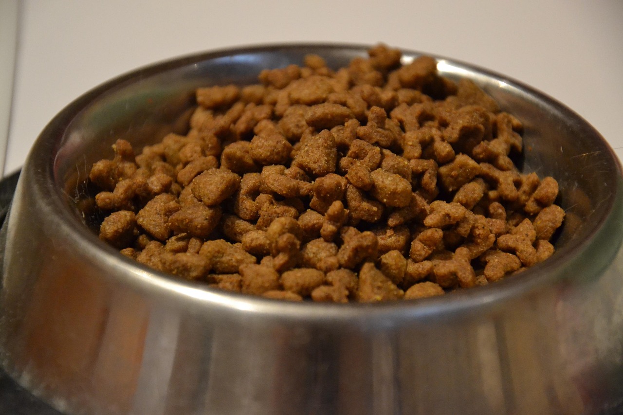 猫小九最新吃货视频大揭秘，美食之旅，带你领略不同风味！，猫小九美食探秘，一场味蕾的环球之旅
