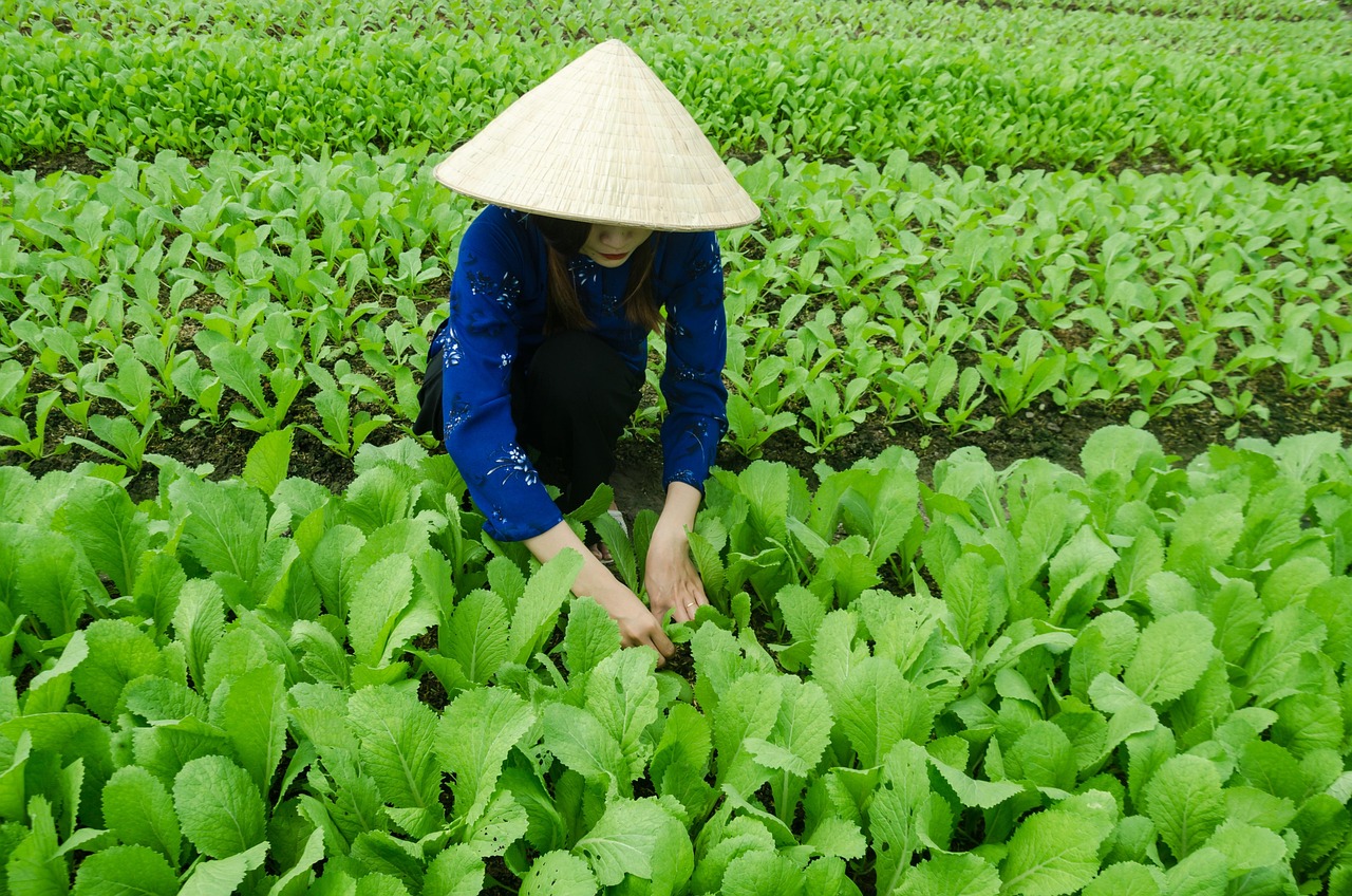 青岛佳兆业最新消息，城市发展的璀璨明珠，青岛佳兆业最新动态，城市发展璀璨明珠闪耀启航
