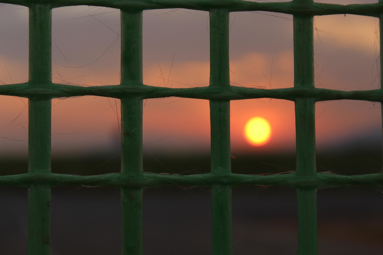 安康夕阳最新消息，安康夕阳最新动态报道