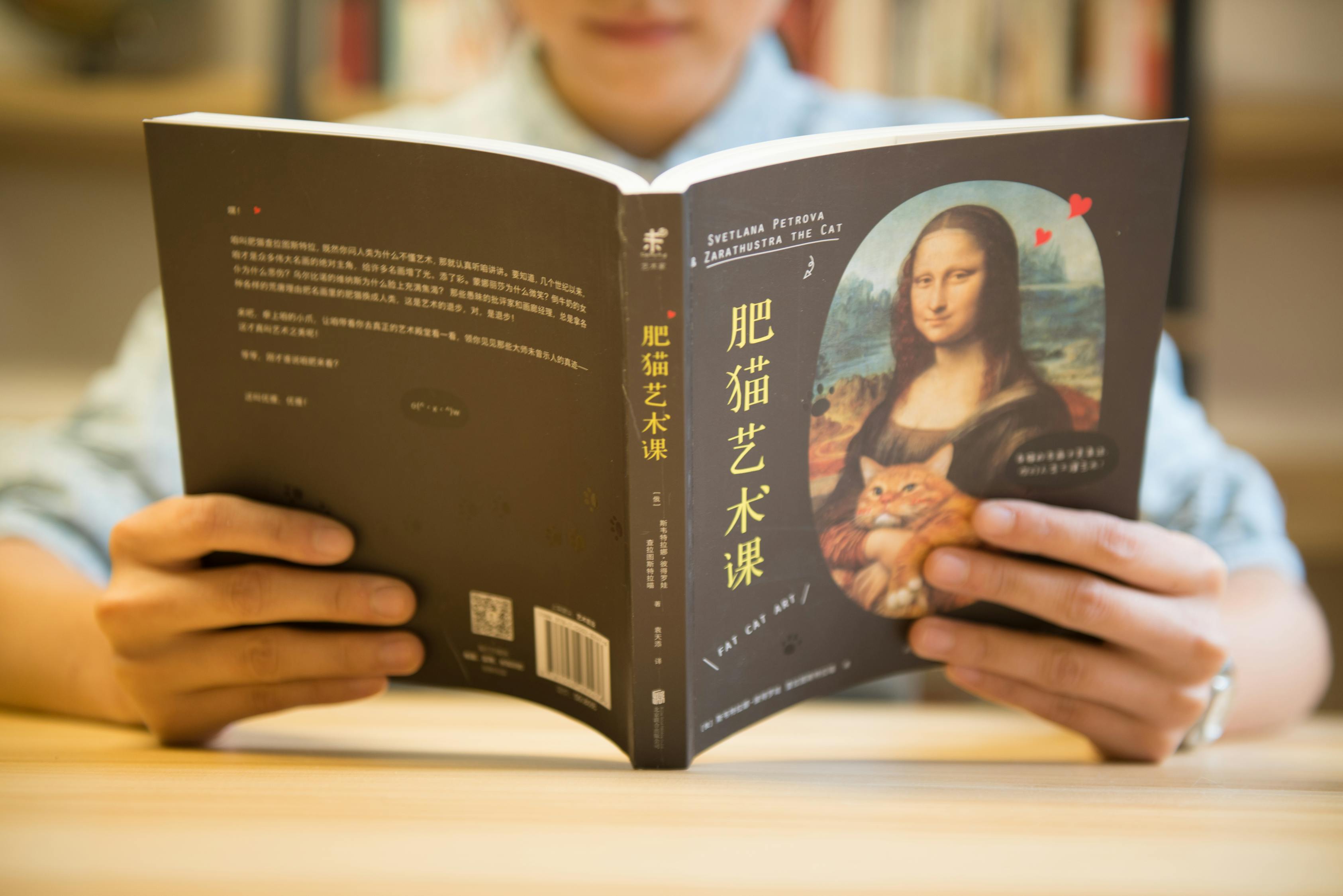 如何投诉，最新消息全面解析，全面解析投诉方法与最新消息